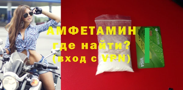 гидра Абаза