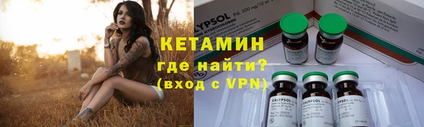 гидра Абаза