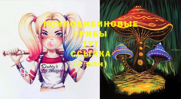 прущая мука Алзамай