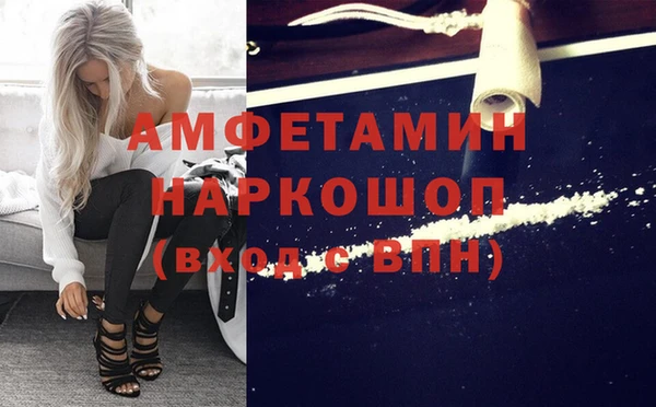 гидра Абаза