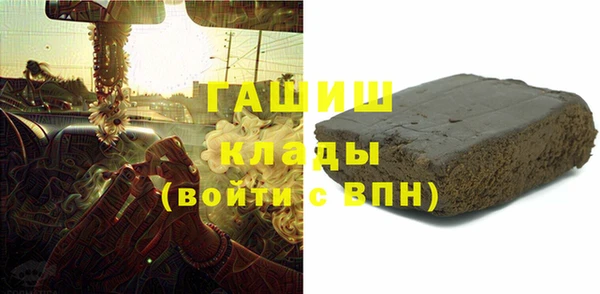 гидра Абаза